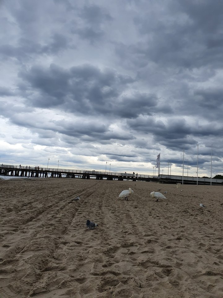 Resized_20190920_150527.jpeg - reporter13