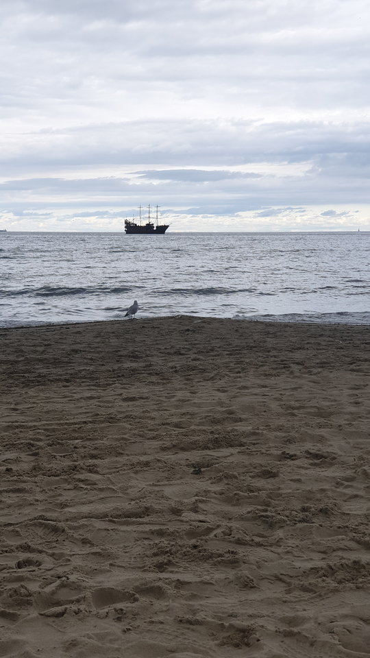 20190920_150528.jpg - reporter13