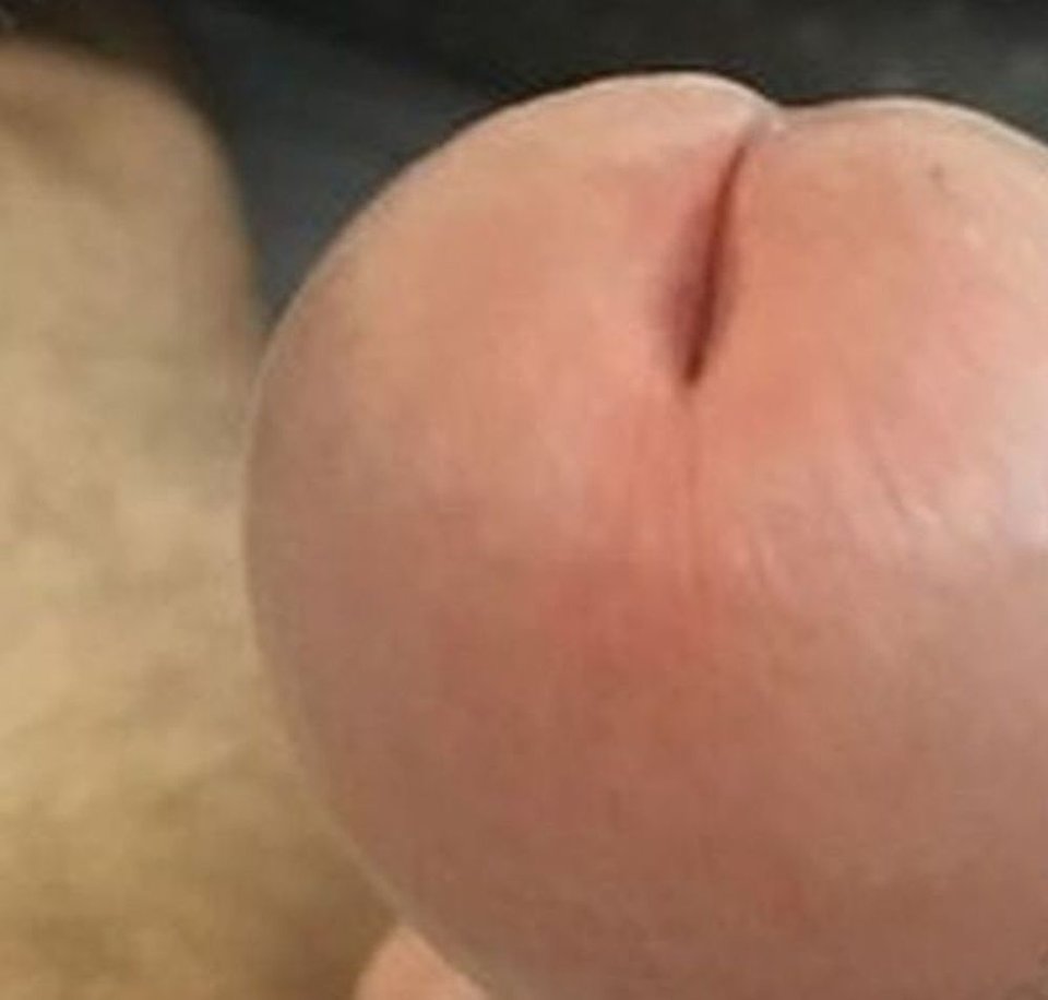 1.jpg - jalodzikzagan