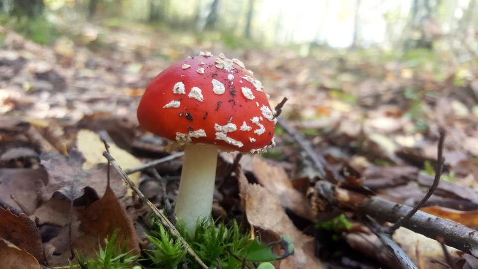 PhotoEditor_20191013_090410866.jpg - studencik212