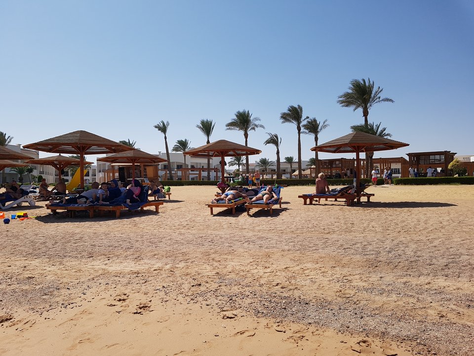 IMG_20191013_1204184993538209757746866.jpg - redxxxx