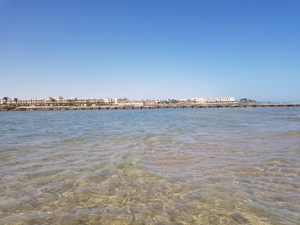 IMG_20191013_1223371646669567795720352.jpg - redxxxx