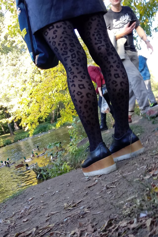 20191013_150238-1.jpg - swistt