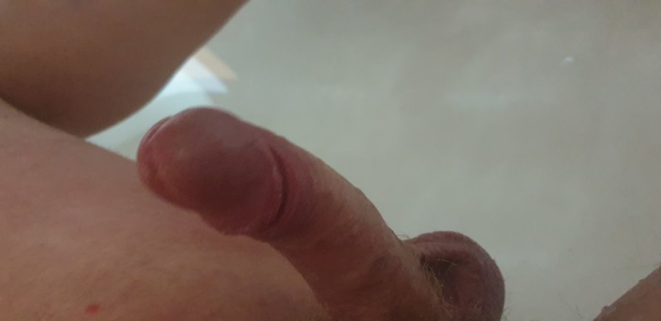15709919123395939997795788992052.jpg - michal8505