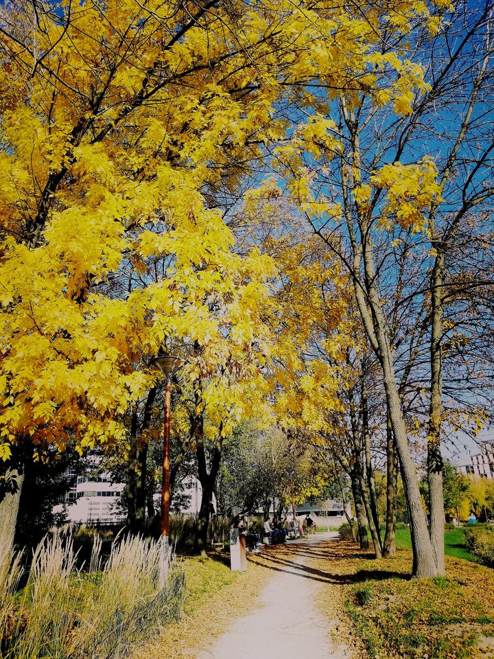 No i mamy jesień - uhtred