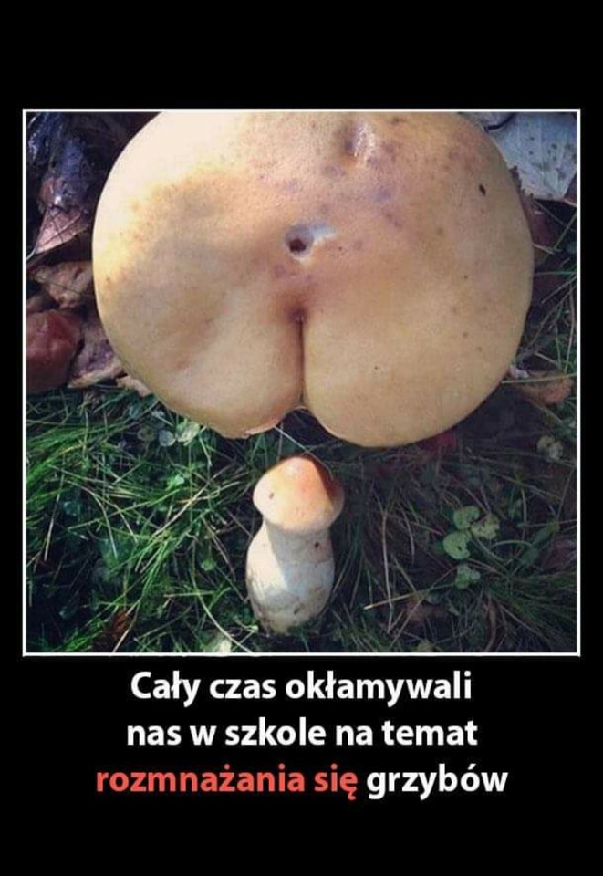 20190928_101913.jpg - SeksiOni