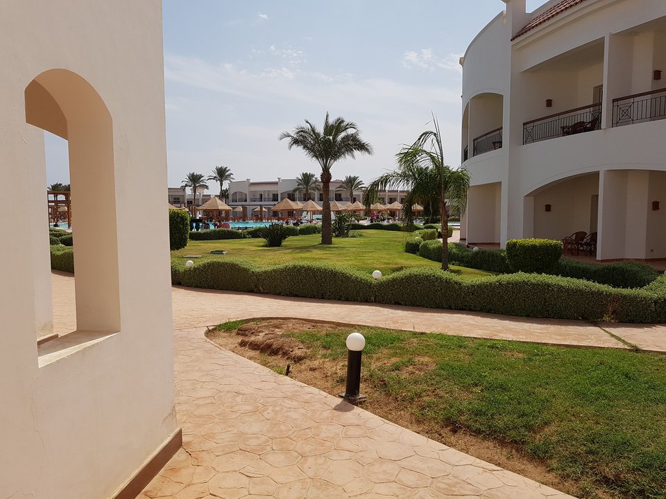 IMG_20191014_1138305623145884158424735.jpg - redxxxx