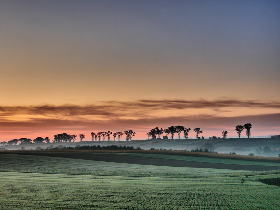 P1100299.JPG - FoKam431