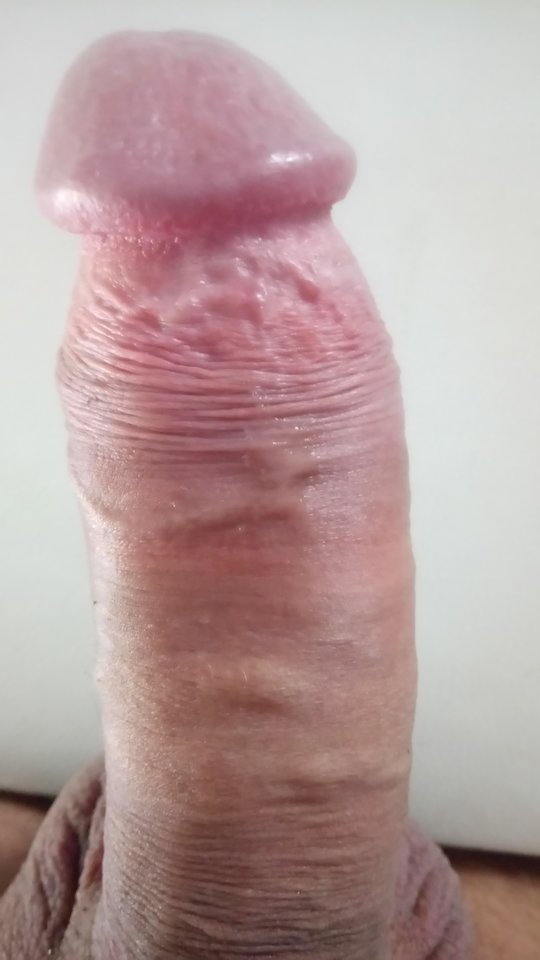 DSC_0060.JPG - banitta