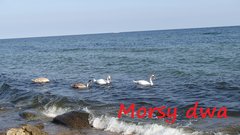 Były pierwsze na kąpielisku.