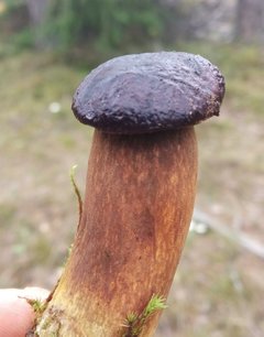 Jakieś skojarzenia?