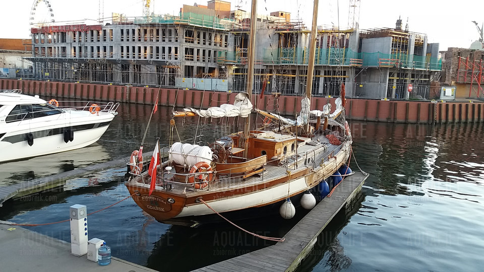 20180522_201920.jpg - Aqualife