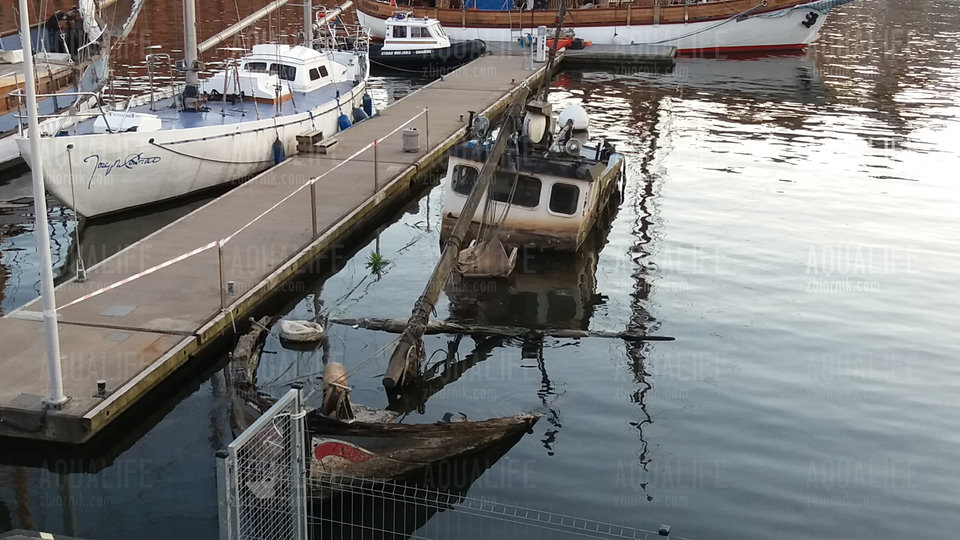 20180522_202014.jpg - Aqualife