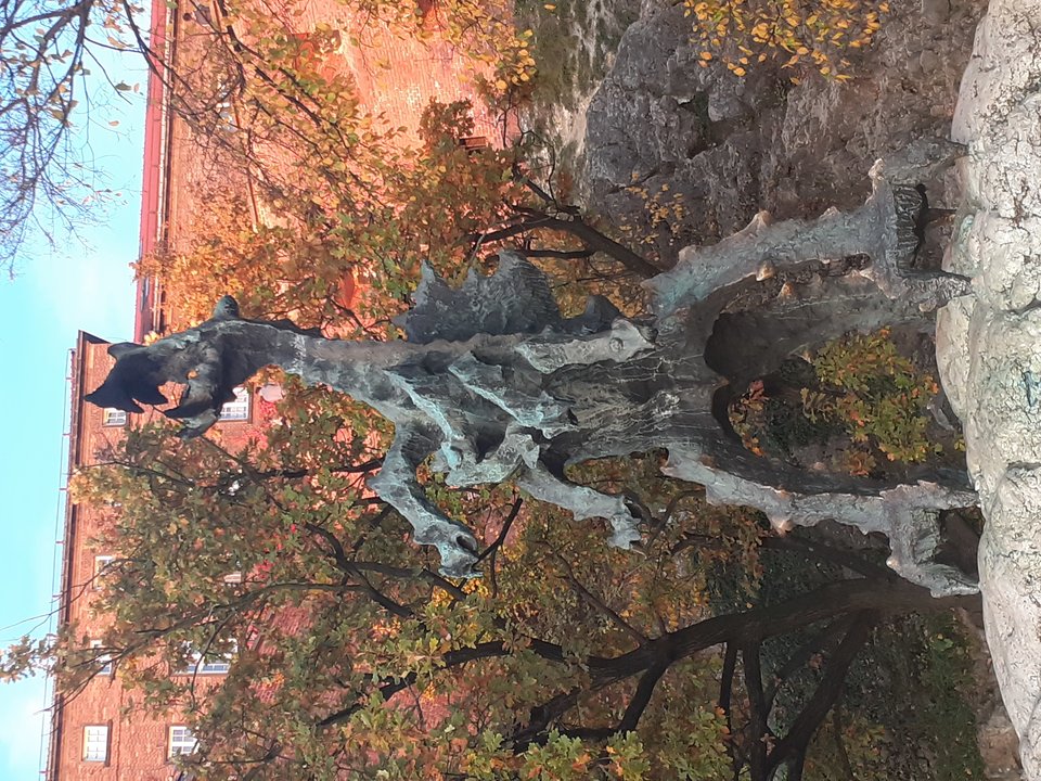 20191017_173143.jpg - Przemodkl79