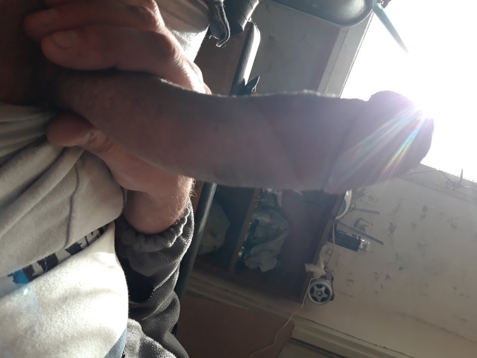 1571404035139232362517871762624.jpg - Lolek2018