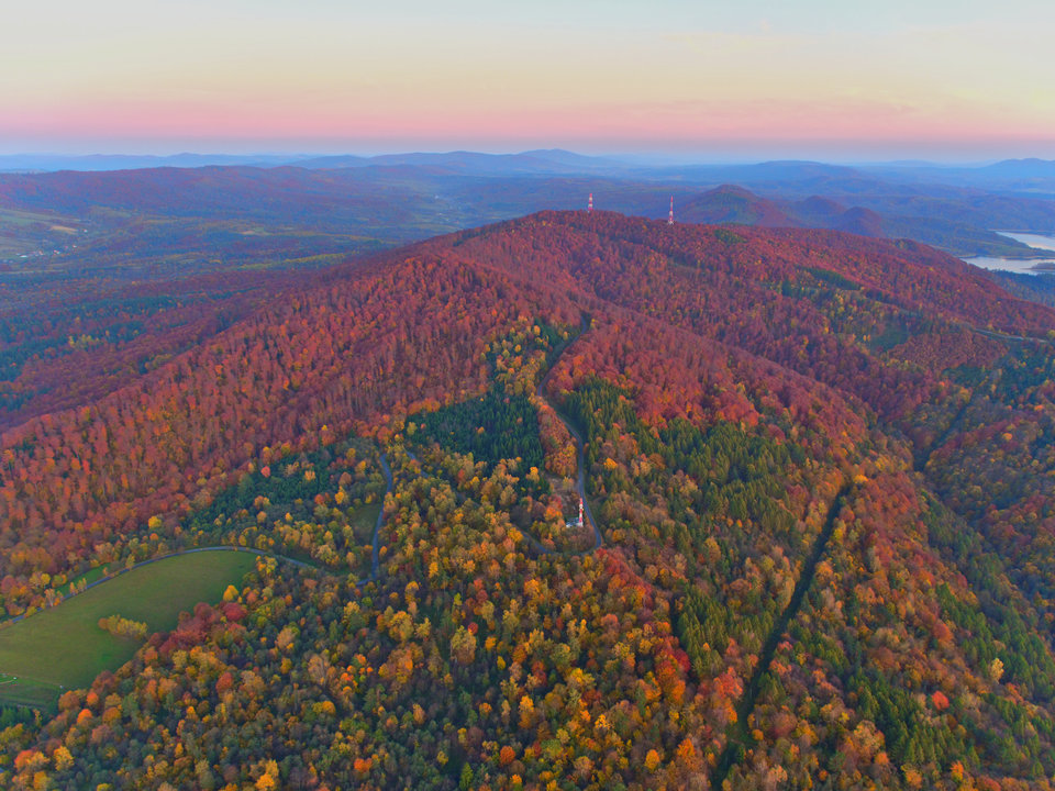 DJI_0742.jpg - FoKam431