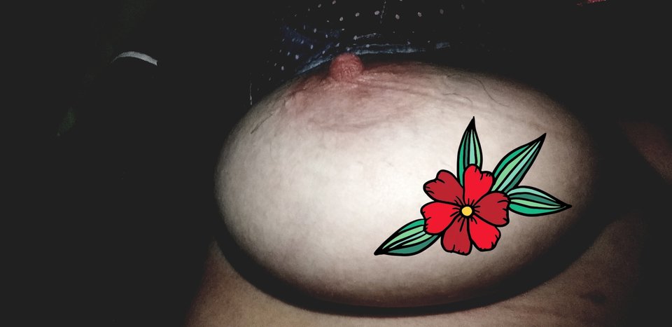 20191017_125541.jpg - para3741