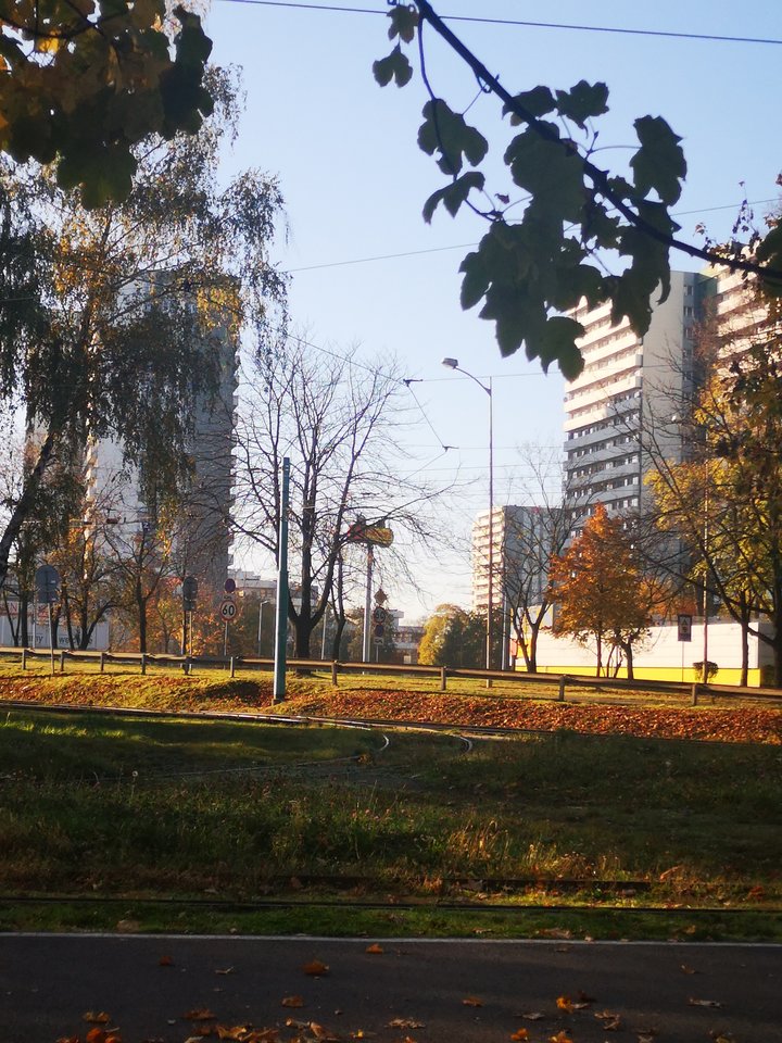 15715548859911110848114490037931.jpg - nieznanyn