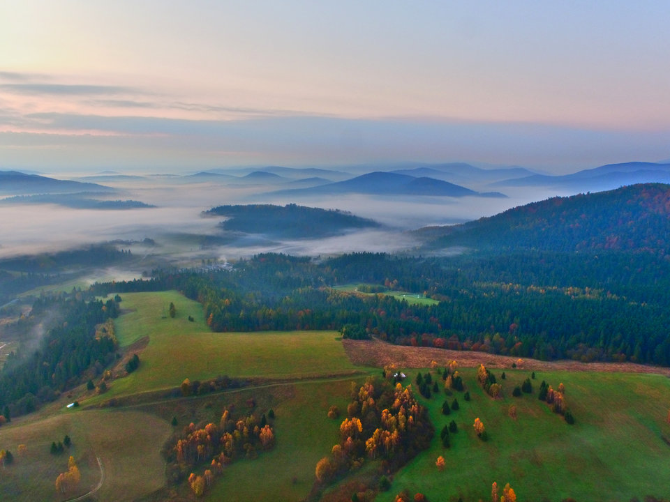 DJI_0621.jpg - FoKam431