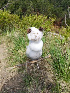 IMG_20190609_125347.jpg