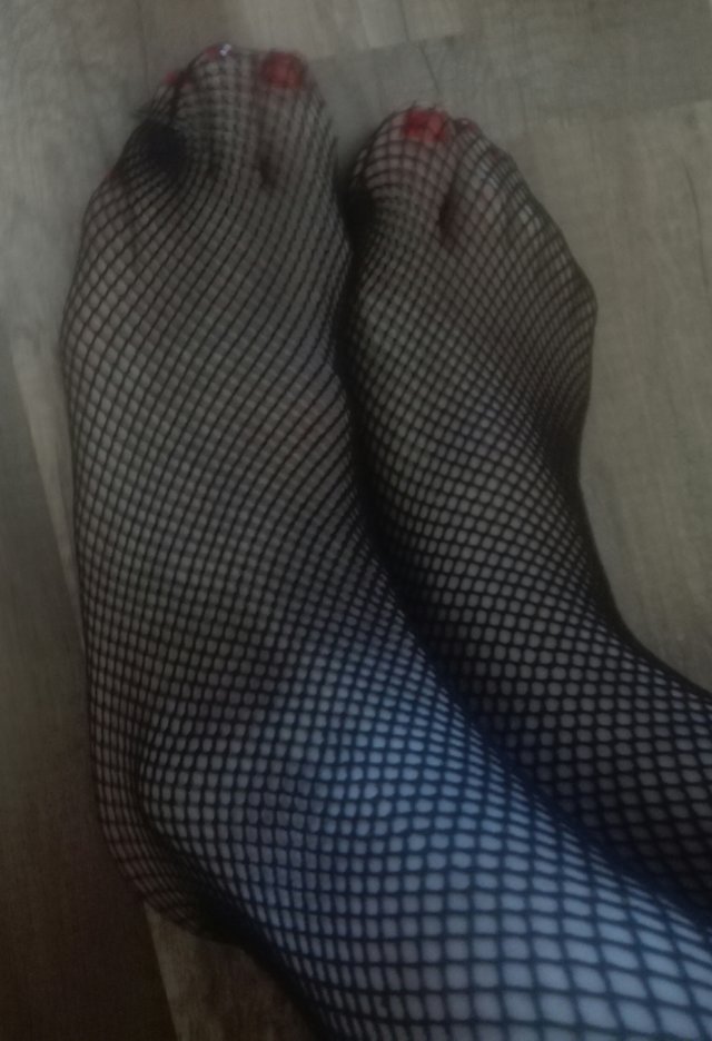 trannyhunny