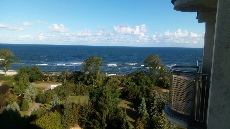 DSC_0242.JPG - przyjazny55