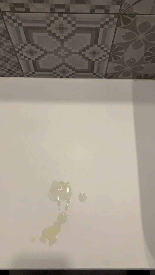 IMG_1875.JPG - hedonistawroclaw