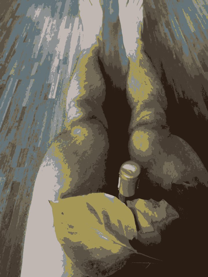 liść.jpg - chlopak85rac