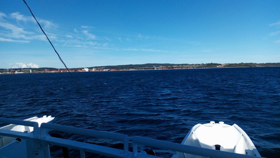 DSC_0406.JPG - przyjazny55