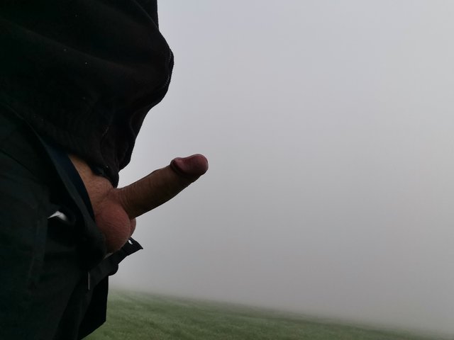 zelDoNog