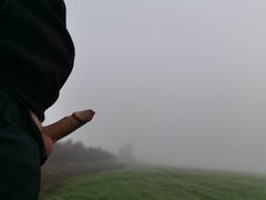 IMG_20191022_073234.jpg