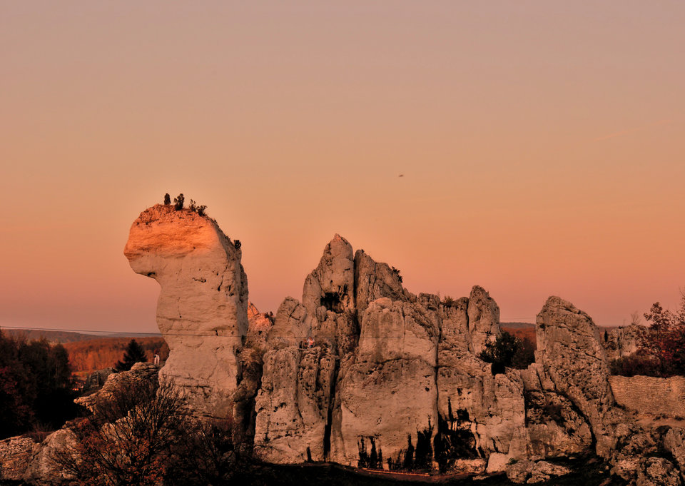 _1100423.jpg - FoKam431