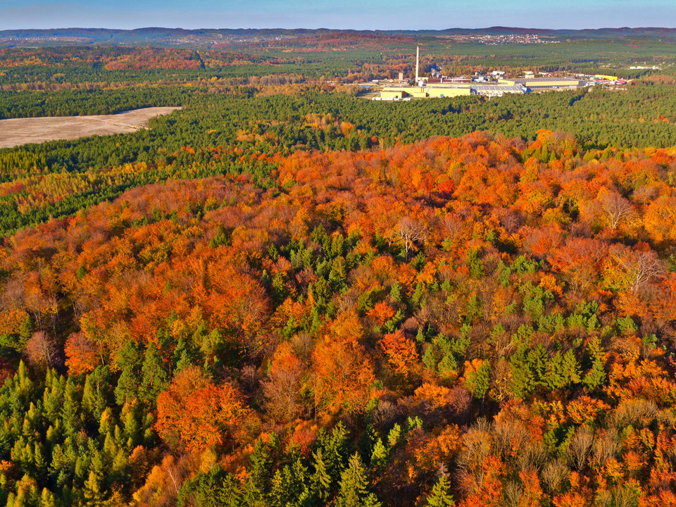 DJI_0840.jpg - FoKam431