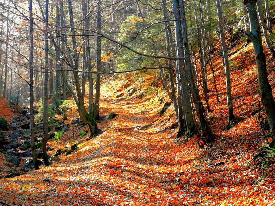 Floor is lava.jpg - MaciekBoribos