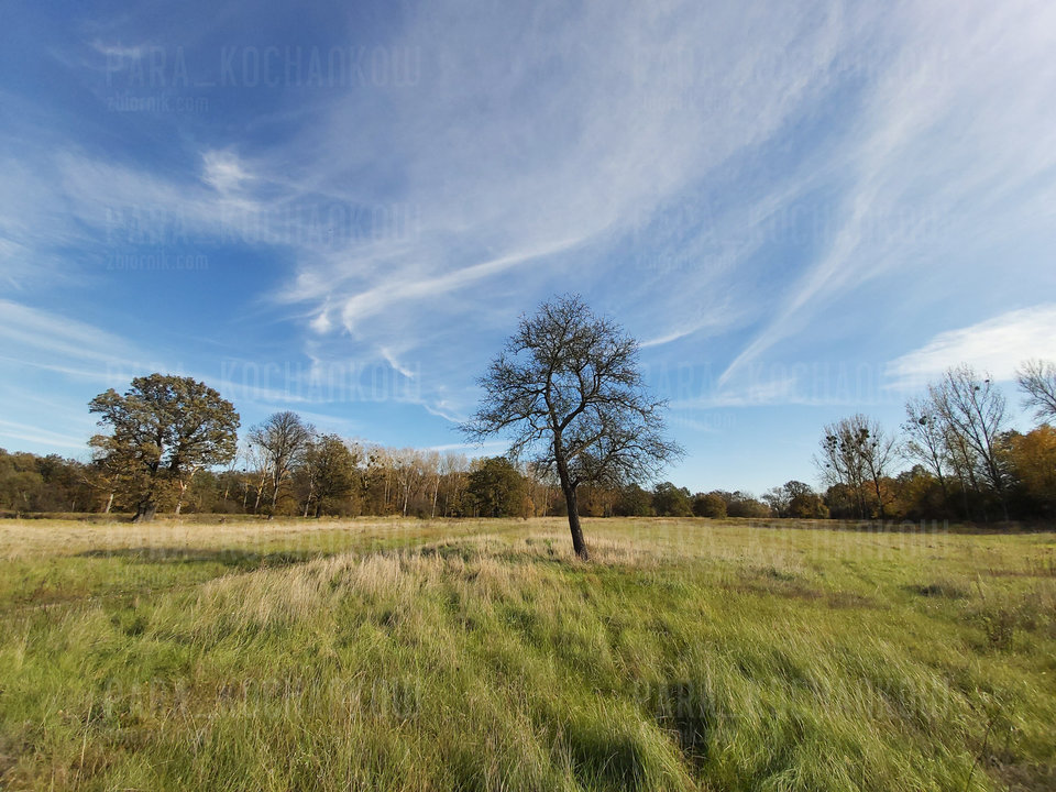 Jesień c.d. - para_kochankow