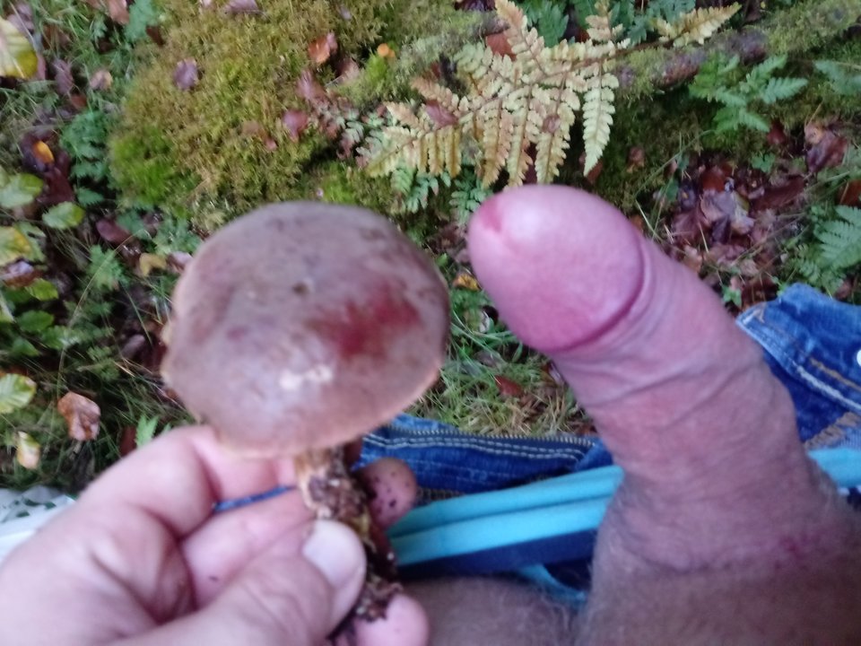 Aaaa.... grzybki dwa 🍄🍄 - MichasGdy30