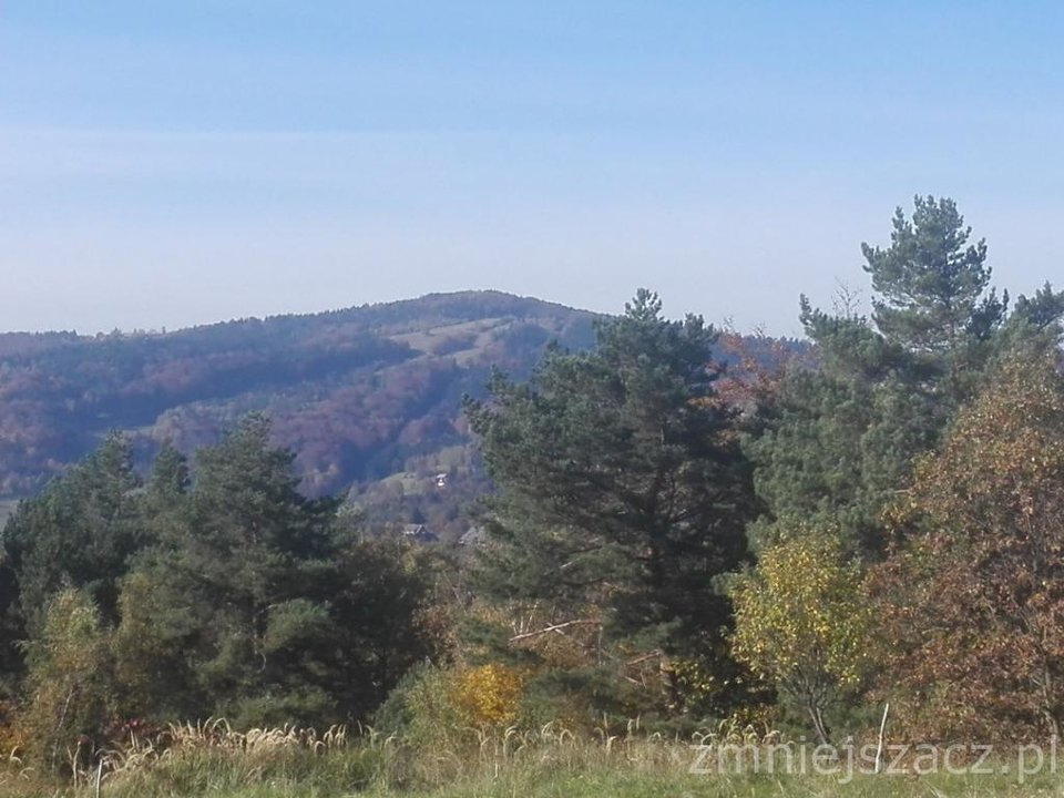 72867818.jpg - robinsztajn69