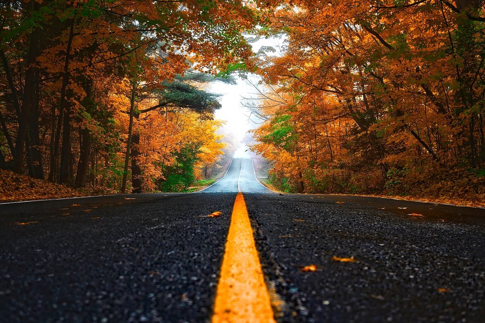 Jesień w Full HD 06.jpg - jorolnik75