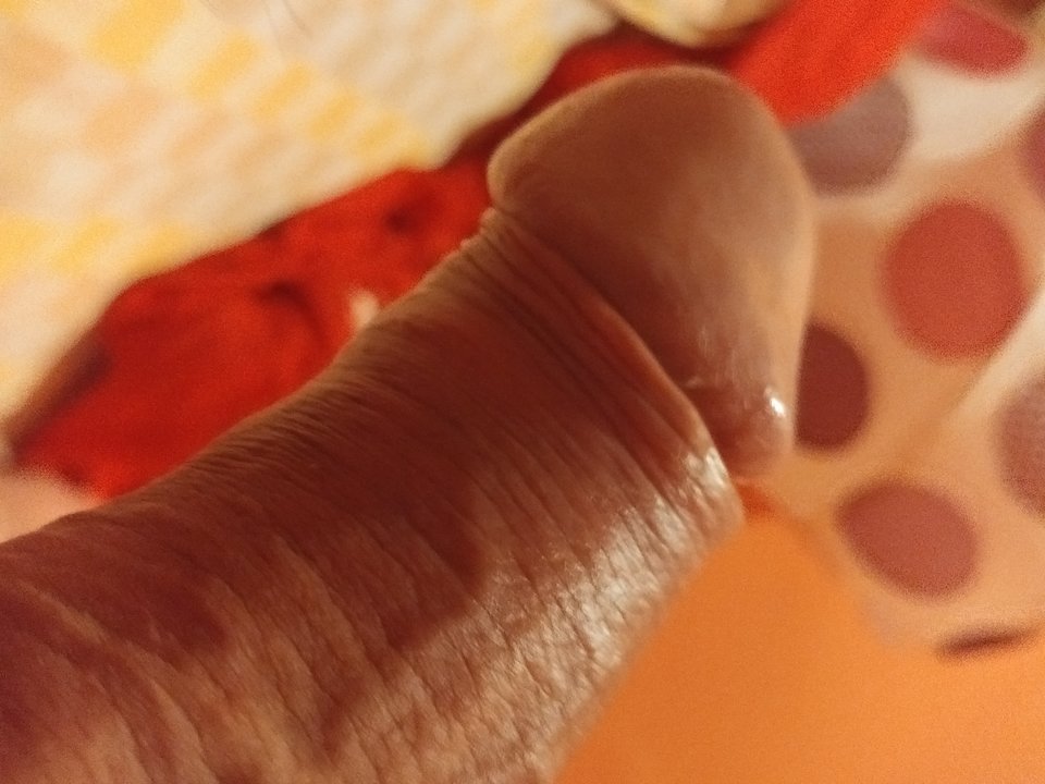 20190827_000034.jpg - Arni557