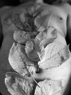 Mężczyzna jesienny