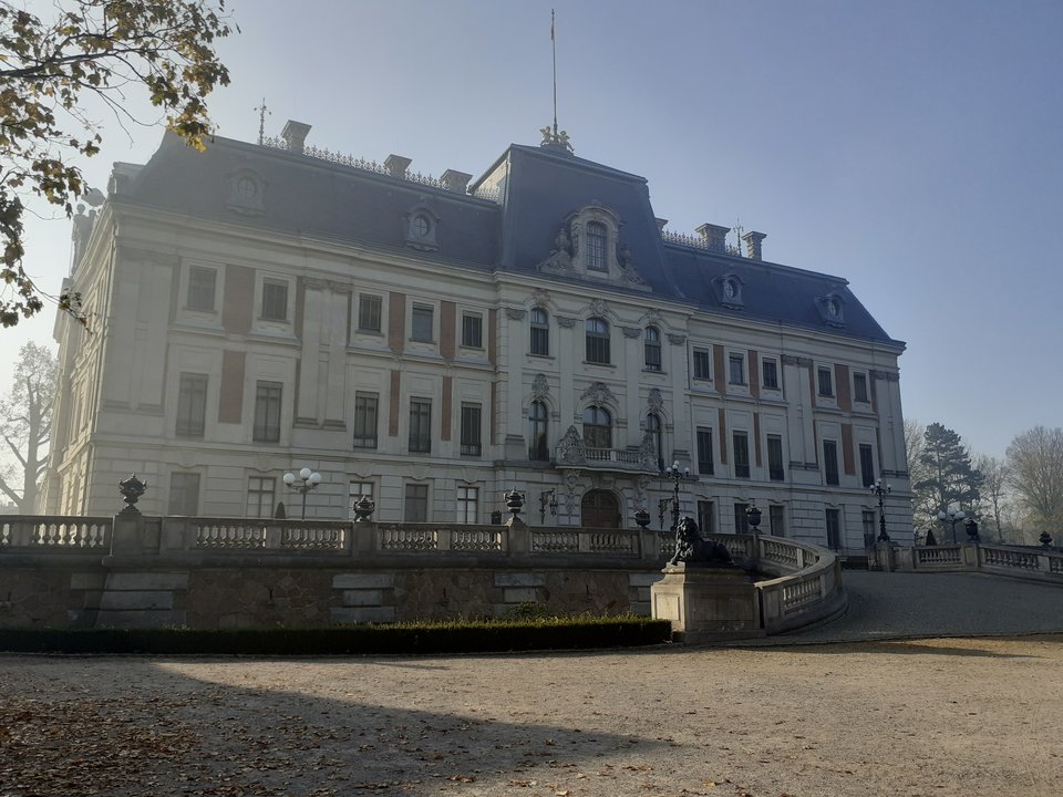 20191026_102428.jpg - Przemodkl79