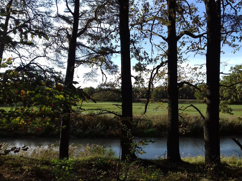 20191026_144616.jpg - torii99