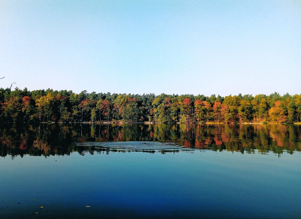 20191027_113213.jpg - Alien65