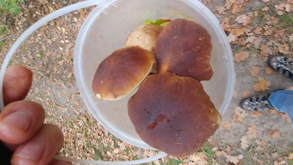 Prawdziweczki.jpg - Sexoludy