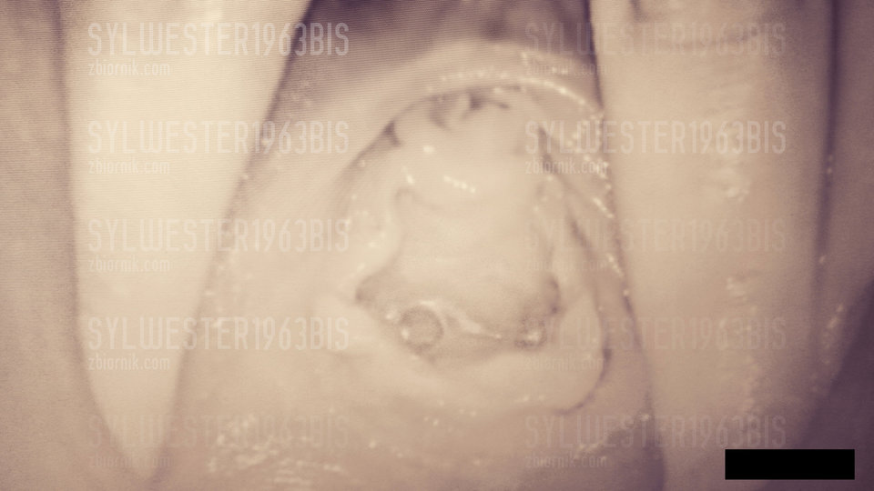 P_20191016_180641_p_1.jpg - sylwester1963bis