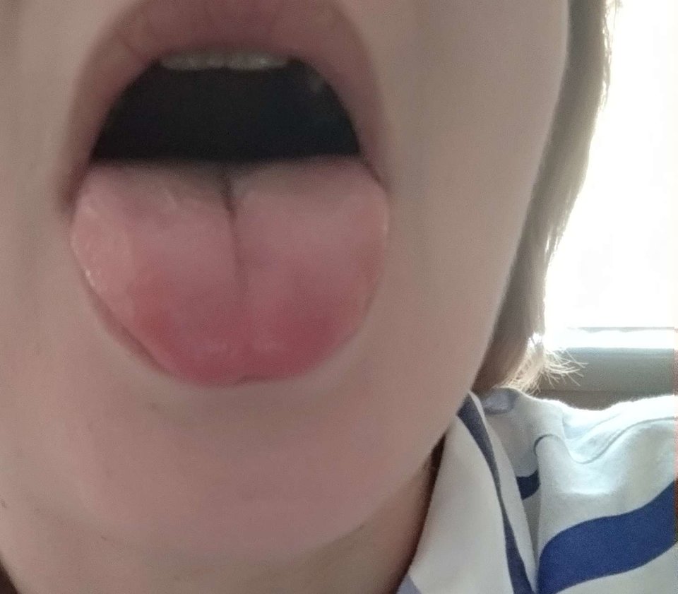 BD1DD9CB-CACB-4316-A190-D4AD68D4F32A.jpeg - KKKS7072