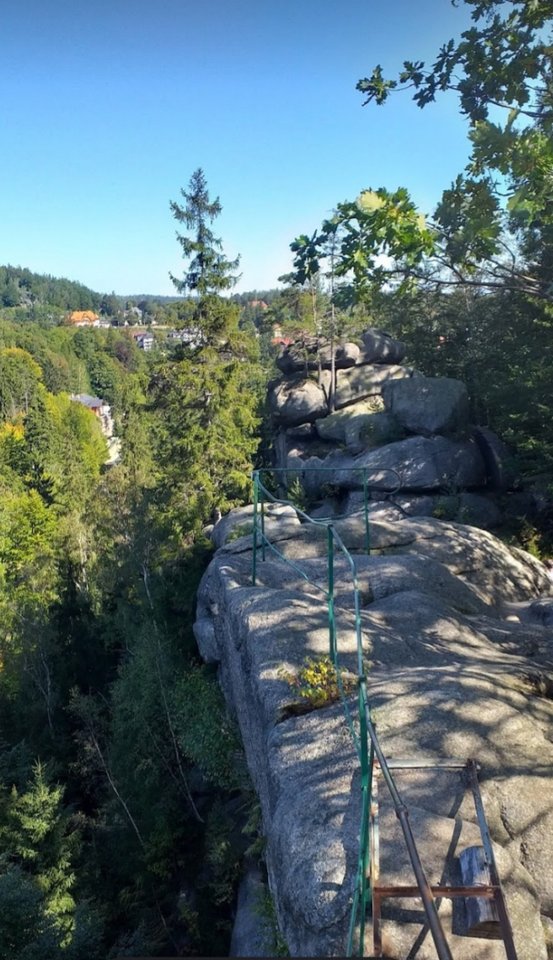 20191030_103249.jpg - adamm19777