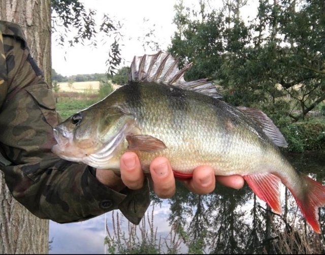 20191030_141327.jpg - adamm19777