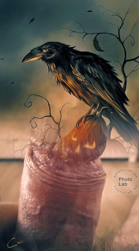 52ba3cca-655a-4c68-8041-dbdc3baa5782.jpg - Zwyczajny_69