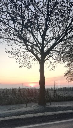 IMG_20191031_085246.jpg